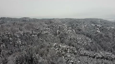 Aerial view of winter forest Video stock 148077094