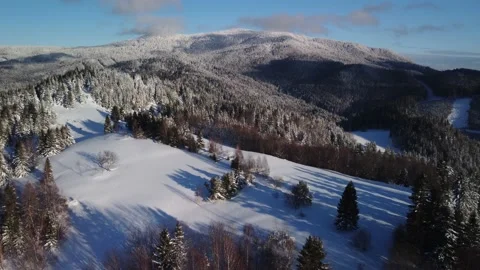 Aerial view of winter forest. Stock Footage 170149649