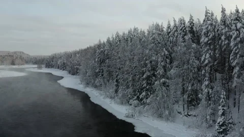 Aerial view of the winter forest Stock Footage 173616981