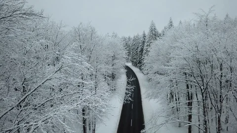 Aerial View Winter Forest  Germany car on the road Stock Footage 102473020