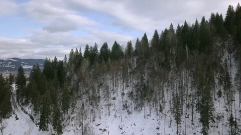 Aerial view of winter forest mountains Stock Footage 125455529