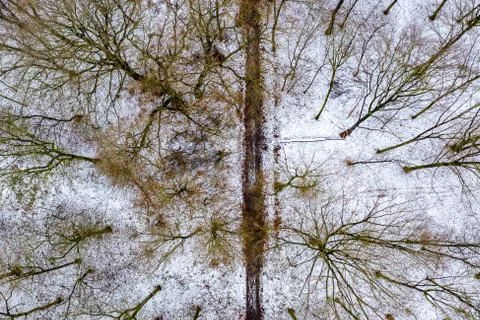 Aerial view of the winter forest with path from above Stock Photos