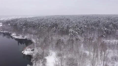 Aerial View Winter Forest By The River Stock Footage 168361577