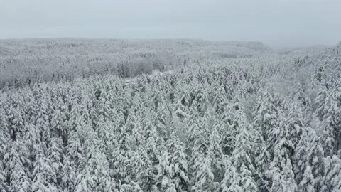 Aerial View Of Winter Forest &amp; River Stock Footage 173529851