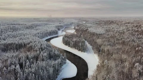 Aerial view of the winter forest &amp; river Stock Footage 173634802