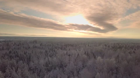 Aerial view of the winter forest. Snow-covered forest. 库存影片 130309813