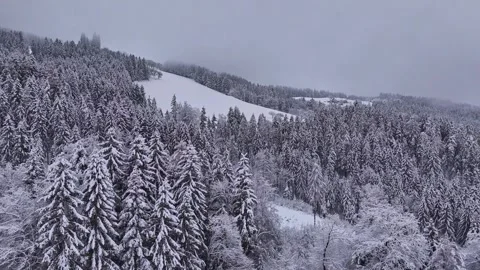 Aerial view of winter forest snow tree landscape Stock Footage 345829190