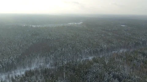 Aerial view: winter forest. Snowy tree branch in a view of the winter forest Stock Footage 120835602