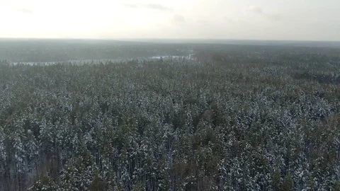 Aerial view: winter forest. Snowy tree branch in a view of the winter forest Vídeos de archivo 120835791