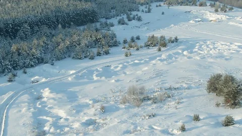 Aerial view: winter forest. Snowy tree branch in a view of the winter forest Stock Footage 120837591