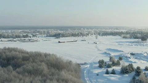 Aerial view: winter forest. Snowy tree branch in a view of the winter forest Stock Footage 120838449