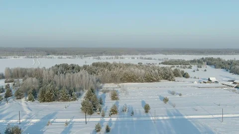 Aerial view: winter forest. Snowy tree branch in a view of the winter forest Stock Footage 120839199