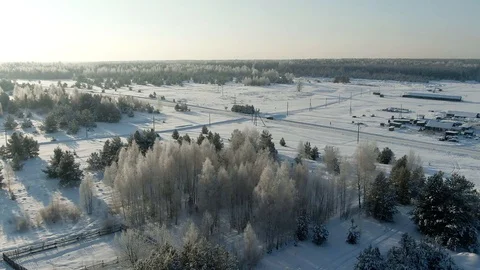 Aerial view: winter forest. Snowy tree branch in a view of the winter forest Stock Footage 120839374