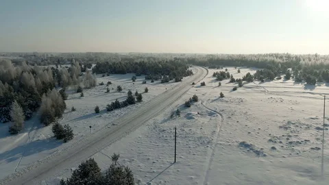 Aerial view: winter forest. Snowy tree branch in a view of the winter forest Stock Footage 120839697
