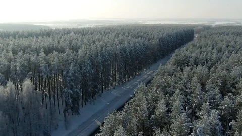 Aerial view: winter forest. Snowy tree branch in a view of the winter forest Stock Footage 120985318