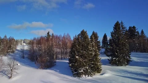 Aerial view of winter forest, view from behind the trees rising up Stock-Footage 170149928