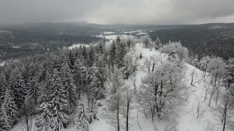 Aerial view of the winter forests Video stock 148079859
