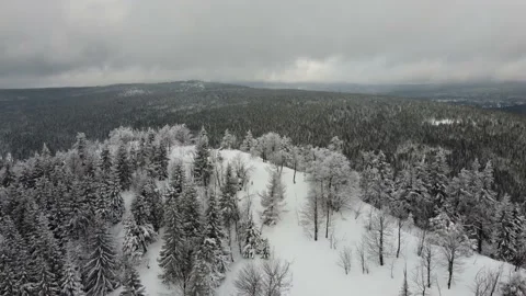 Aerial view of the winter forests Video stock 148080029