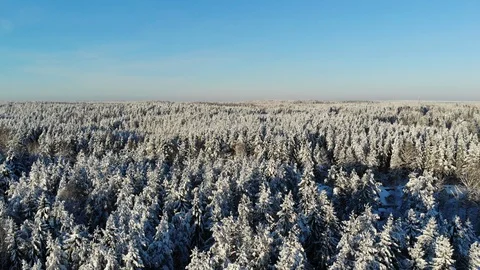 Aerial view of winter landscape with blue sky captured from above with a drone Stock Footage 101734820