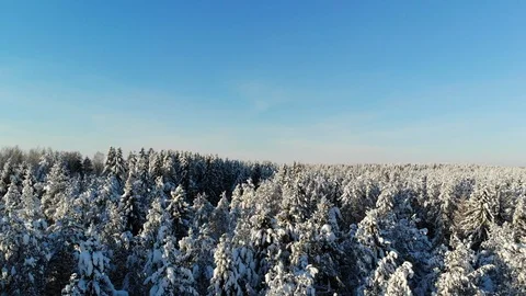 Aerial view of winter landscape with blue sky captured from above with a drone Stock Footage 101737325