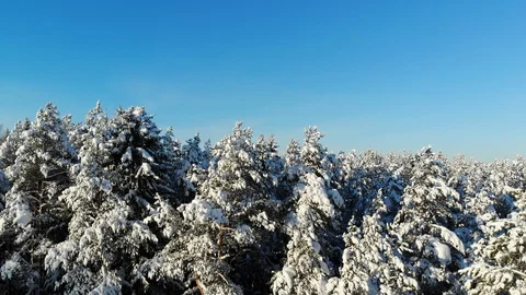 Aerial view of winter landscape with blue sky captured from above with a drone Stock Footage 101738338