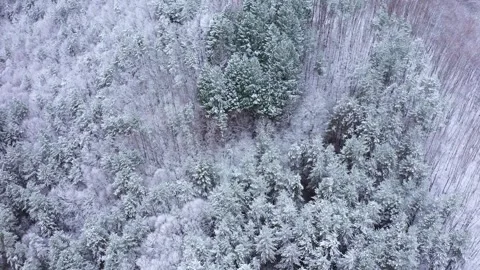 Aerial view of winter landscape with trees covered in snow 스톡 동영상 296526311
