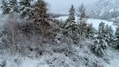 Aerial view of winter mountain river Katun 3 Stock Footage 88152235