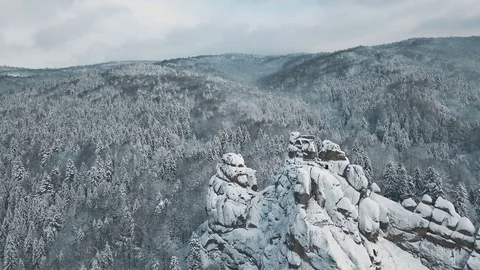 Aerial view of winter mountains, alpine meadow - hills covered with huge pine Stock Footage 83378482