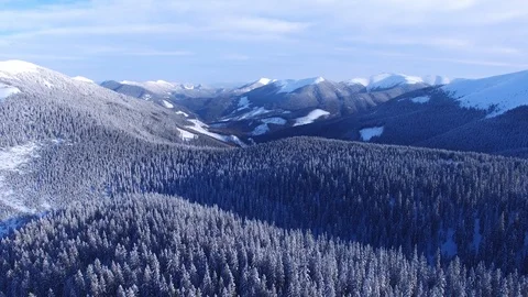 Aerial view of winter mountains covered with coniferous woods Video stock 95770127