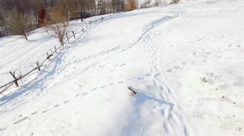 Aerial view of winter park. Cold sunny weather. Snow. Stock Footage 59628113