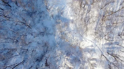Aerial view of winter park. Cold sunny weather. Snow. Stock Footage 59640941