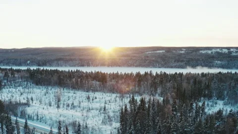 Aerial view of winter pine forest at sunset. Stock Footage 180355208