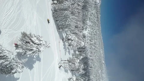 Aerial view of a winter pine forest in the mountains. Stock Footage 252957253