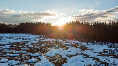 Aerial view of winter pine forest and meadows. Stock Photos