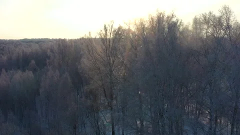 Aerial view of a winter road in the forest 11 Stockbeeldmateriaal 134852744