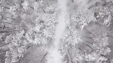 Aerial view of winter road through snow covered forest Stock Footage 85716069
