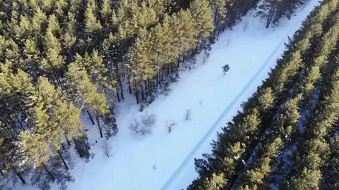 Aerial view winter road through dense pine forest at sunset Stock Footage 323559092