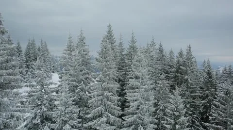 Aerial view winter ski slope mountains Carpathians 스톡 동영상 66462033