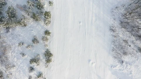 Aerial view of a winter snow-covered pine forest. Winter forest texture Stock Footage 233671007