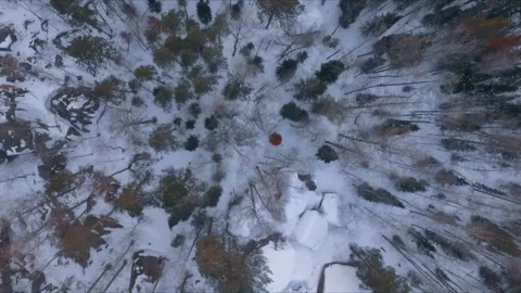 Aerial view winter snowscape with forest, trees and snowy cliffs. Blue sky Stock-Footage 87667830