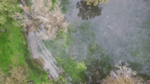 Aerial view of a Winter Swamp Stock Footage 171877688