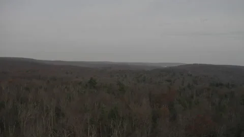 Aerial View of Winter Trees 4K D-LOG Stock Footage 232595112