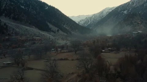 Aerial view of winter trees in the mountains of Kalash valley,Pakistan Stock Footage 170591242