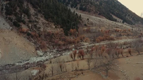 Aerial view of winter trees in the mountains of Kalash valley,Pakistan Stock Footage 170637937