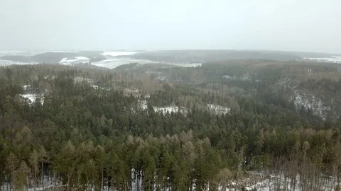Aerial view of a winter woods. Stock Footage 101520327