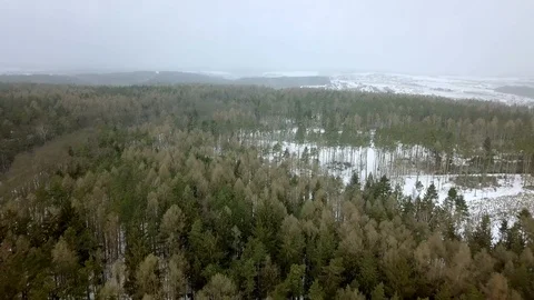 Aerial view of a winter woods. Stock Footage 101520363