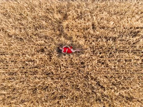Aerial view of woman in red dress lying in the field of wheat Stock Photos
