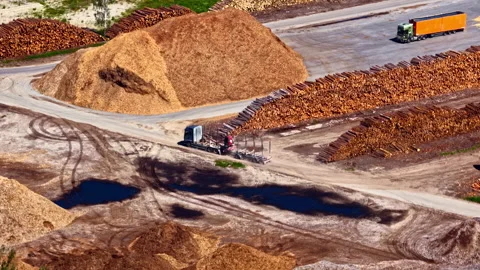 Aerial view of wood processing facility with large piles of logs, woodchips and Stock Footage 313906782