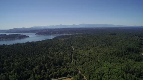 Aerial view of wooded area - Bainbridge Island Stock Footage 58104553