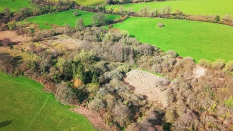 Aerial view of woodland and patchwork farmland fields in UK countryside Stock-Footage 333892537